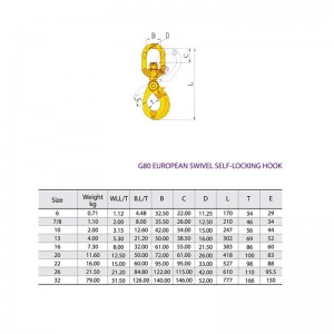 Otočný bezpečnostní hák G80 otočný lakovaný