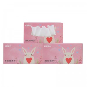 Makeup Odstranění otřete