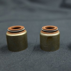 Čína dodavatel Valve olejové těsnění pro vozidla Renault