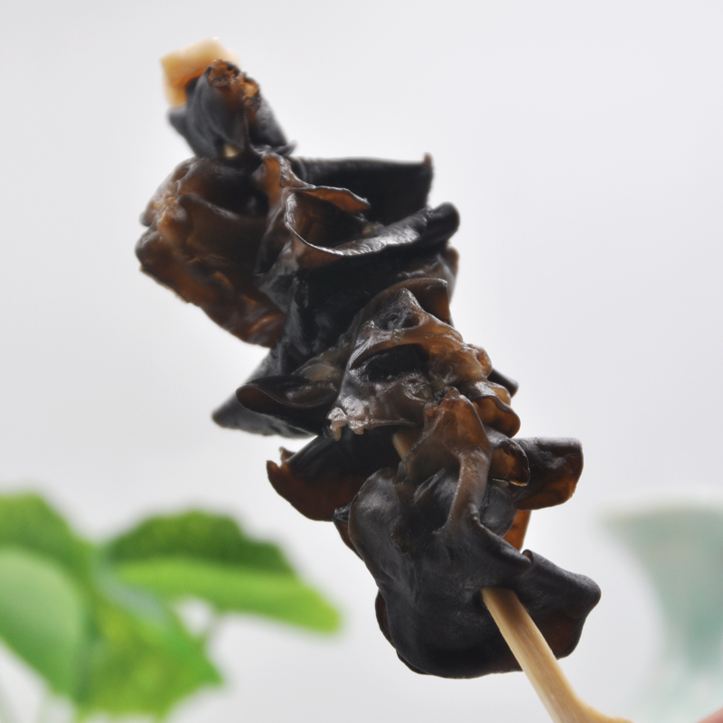 MRAZENÝ ČERNÝ FUNGUS