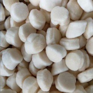 Mražené mořské mušle