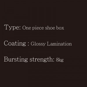 Krabička na boty OP Type1