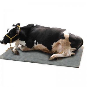 Podložka pod kravatu / kůň