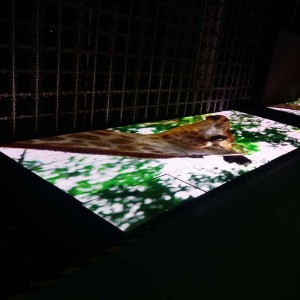 P8.928 Venkovní taneční podlahová scéna LED obrazovka / LED videostěna