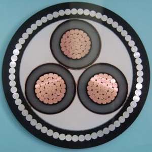 Stíněné a soustředěné neutrální napájecí kabely vysokého napětí, voda a mořské dno CSA C68.5