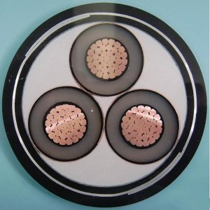 1-30KV 6jádrový 3žilový pancéřový kabel Swa IEC60502, SANS 1339, BS 6622, AS / NZS1429.1, NFC 33226, CSA C 68.5