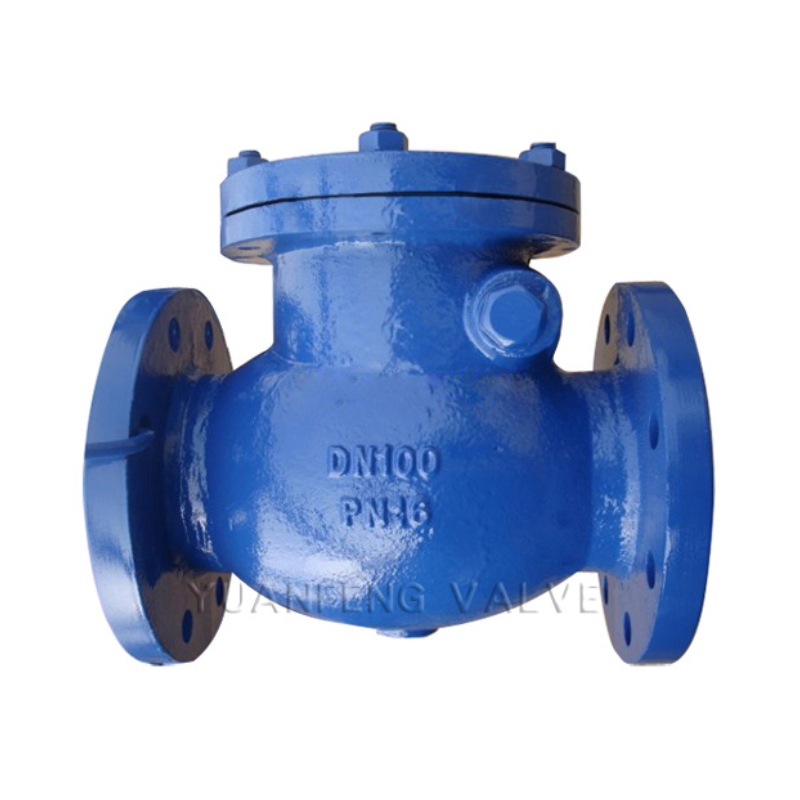 Swing Check Valve