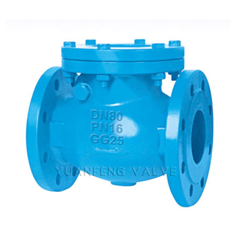 Swing Check Valve