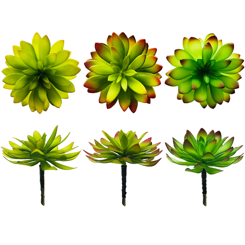 Umělé sukulentní rostliny vyberou kaktusy zelené fauxu