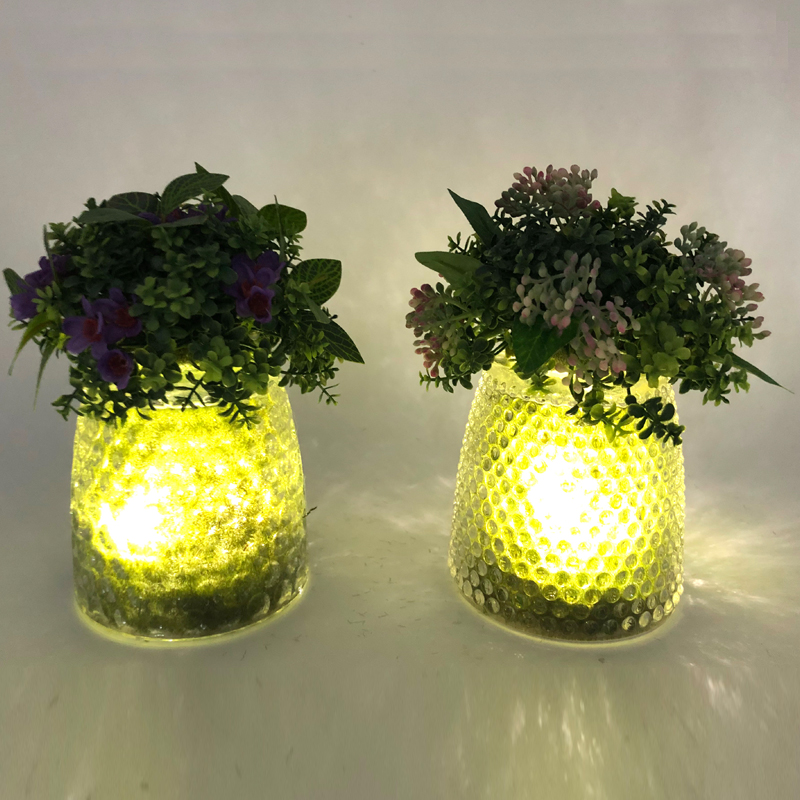 LED sklo stolní dekorativní umělé sukulentní rostliny s Globe Display Váza