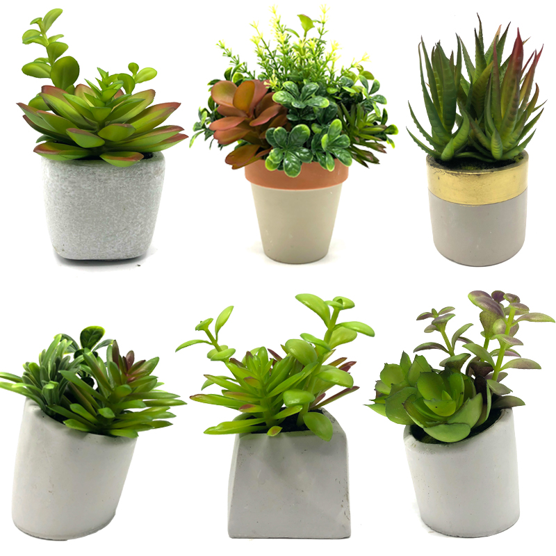 Mini umělé sukulentní rostliny s hrncem stolní dekorativní dekorativní koule displej domů dekor