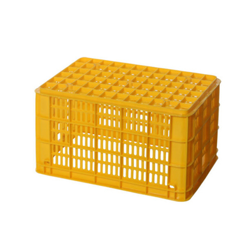 Plastová vstřikovací forma pro zeleninovou bednu