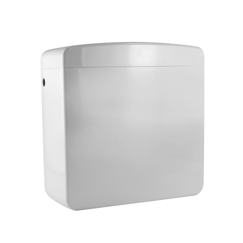 Přizpůsobte vstřikovací formu z plastu PP pro Dual Flushing Cistern