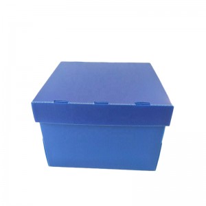 Ovoce a zelenina box