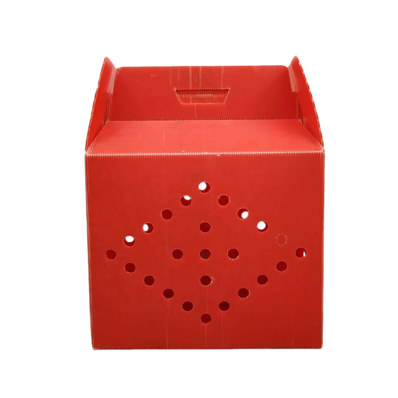 Ovoce a zelenina box