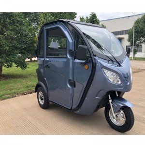 E-Trike, E-Tricycle, Electric Trike