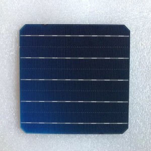 Monokrystalická buňka