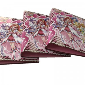 Krásné zakázkové vzory Kartonový 6 kroužkový pořadač