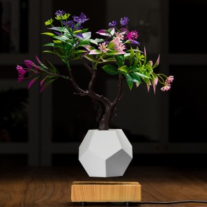 nová dřevěná základna magnetická levitace spodní flyte air bonsai pot květináč