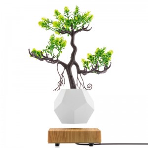 nová dřevěná základna magnetická levitace spodní flyte air bonsai pot květináč
