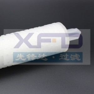 Plisovaná filtrační kazeta --- RFG