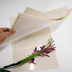 Vysoce kvalitní 0,5 mm meruňková barva z tuhého PET plastového polyesterového listu pro nábytek