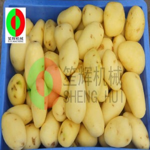 Nový stroj QX-608 na loupání ovoce / stroj na čištění a loupání ovoce / stroj na čištění a loupání ovocných štětců