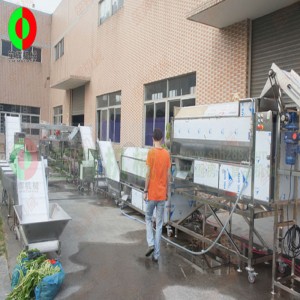 Velká výrobní linka na loupání a řezání zeleniny a ovoce