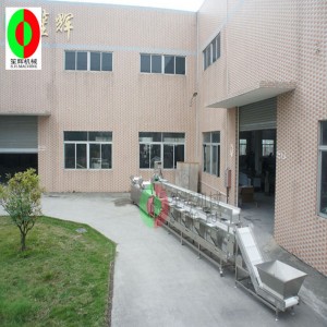 Multifunkční zařízení na praní zeleniny / výrobní linka na praní zeleniny / třívrstvé třídění čisté výrobní linky na zpracování zeleniny