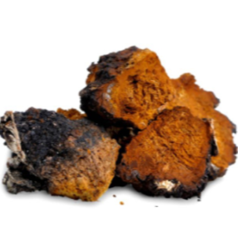 Anti-aging chaga extrahoval čaj pro zdravotní péči