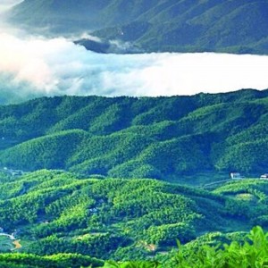 L sady 7250g dvě stě čajový čaj Hunan Anhua černý čaj zdravotní péče čaj