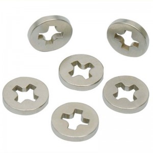 Magneti permanenti per alternore