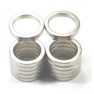 Přizpůsobte monopólový prstenový magnet.