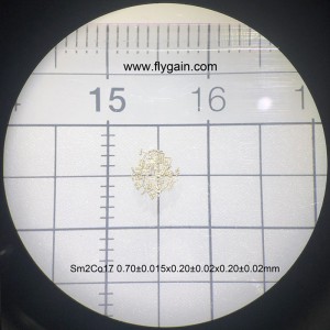 Zakázkový vynikající permanentní mikro smco magnet ze vzácných zemin