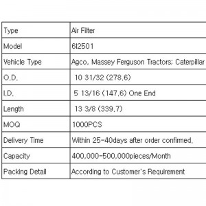 Filtr vzduchu (6I2501)