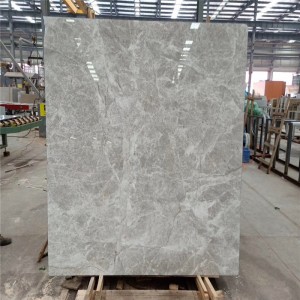 Tundra Dora Gray Marble Slab