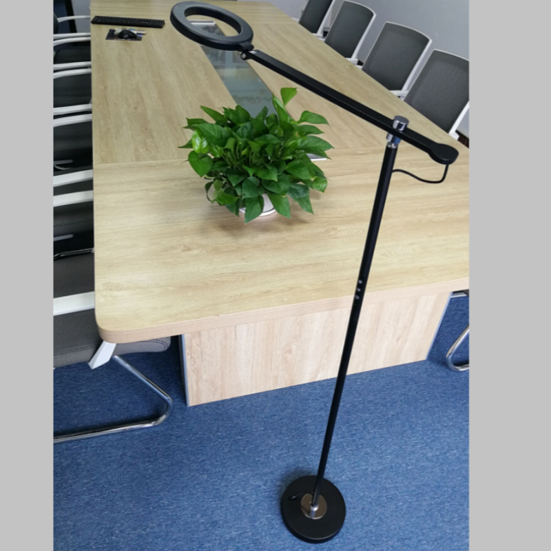 6886 Obývací pokoj Metal Standing Lighting Standard Lamp LED Lamp pro domov, Hotel
