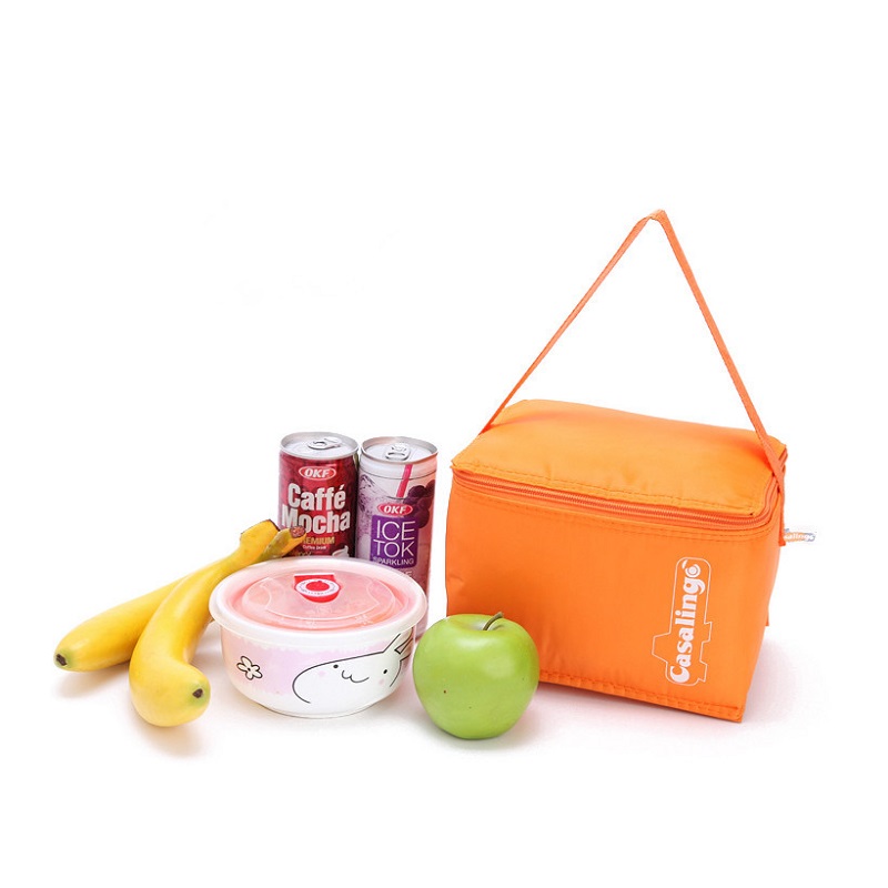 SGC24 Nejlepší kvalita propagace Izolované zapínání na zip skládací Tote Lunch Beer Cooler Bag Mini Ice Cream Cooler Bag