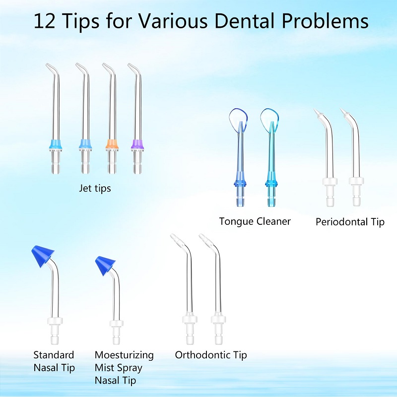 H2ofloss dentální voda flosser pro čištění zubů s 12 multifunkčními tipy a 800ml, profesionální stolní ústní zavlažovač Tichý design