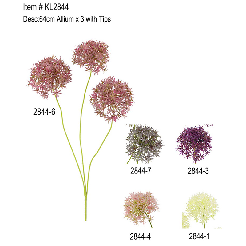 64cm Allium x 3 s Tipy