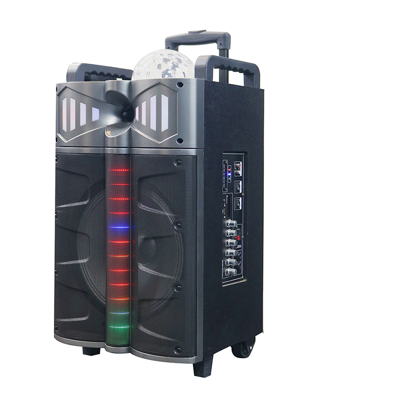 Trollry Speaker Y-DJ1201-12H