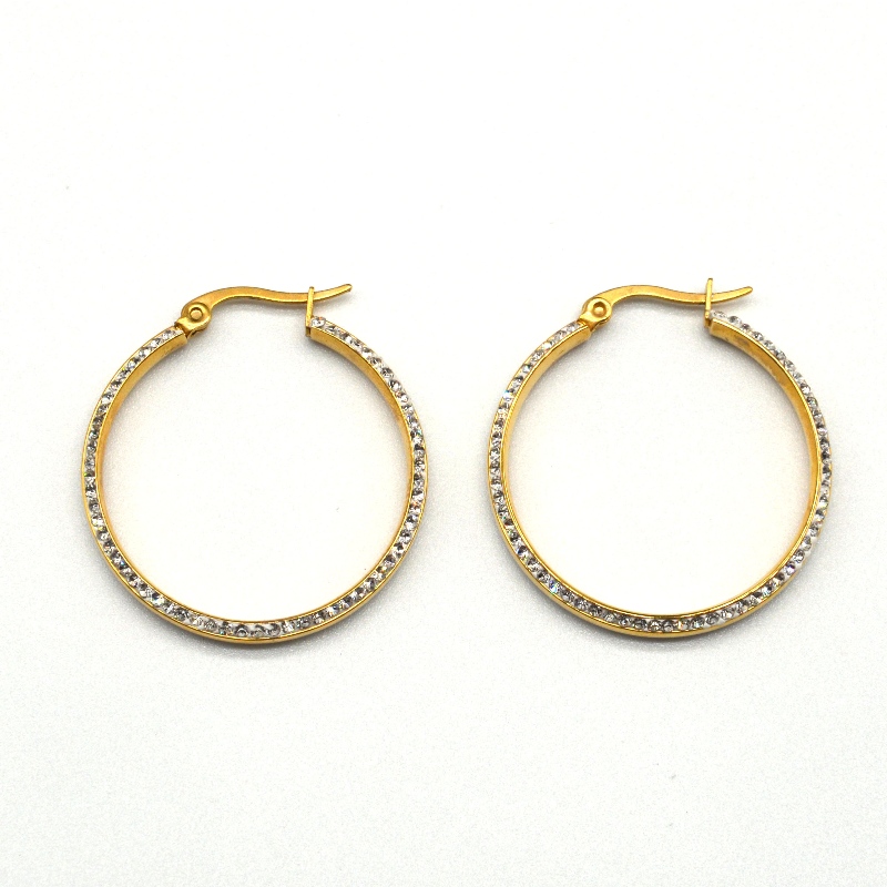 Módní šperky, šperky z nerezové oceli, naušnice z nerezové oceli, diamantové náušnice, drahokamy, Zircon Hoop Earings rfber0023