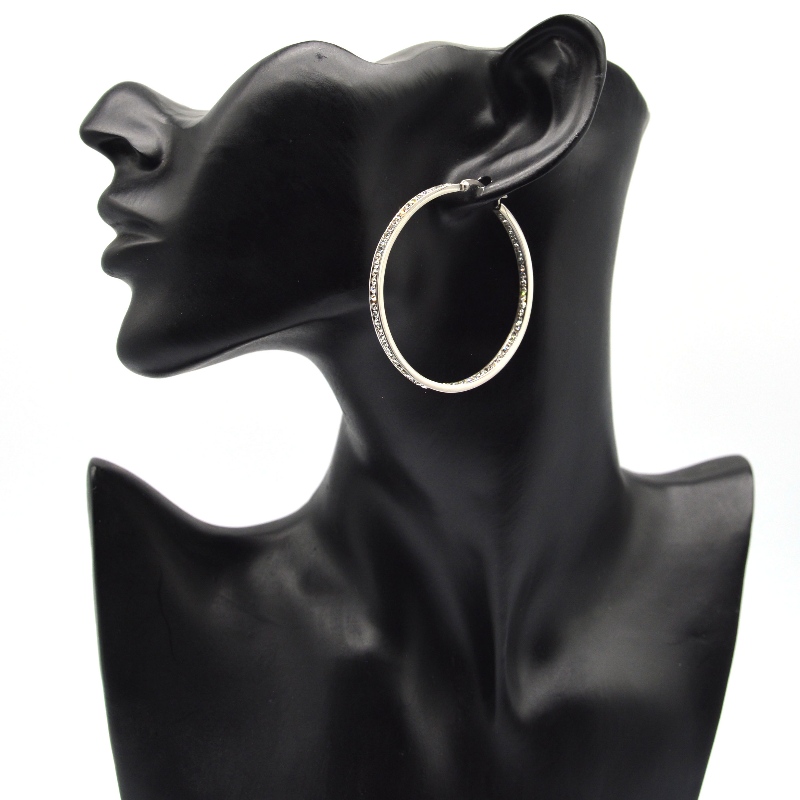Módní šperky, šperky z nerezové oceli, naušnice z nerezové oceli, diamantové náušnice, drahokamy, Zircon Hoop Earrings rfber0095