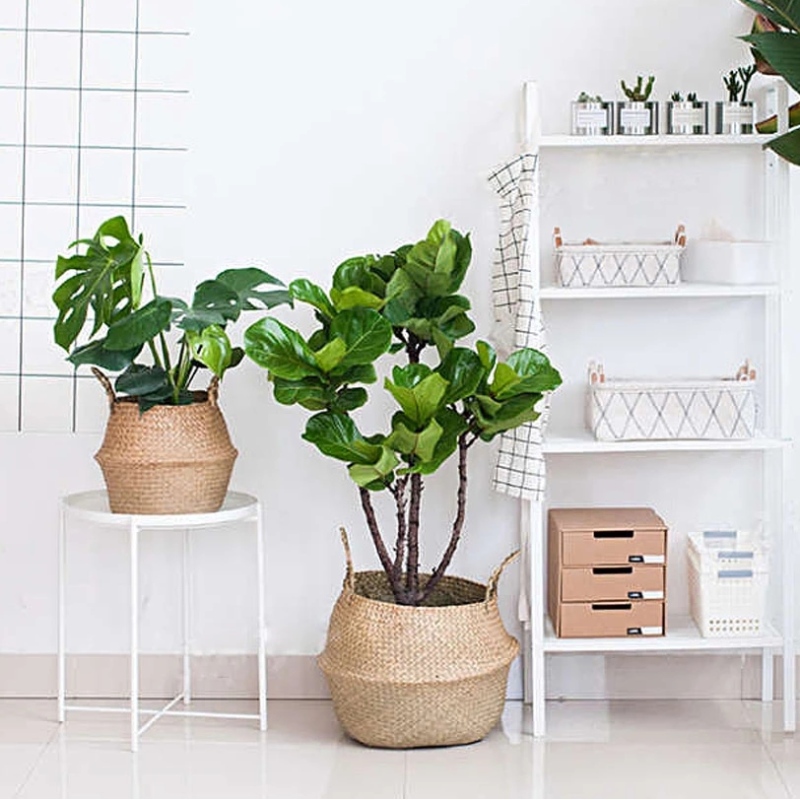 Tkaný Seagrass Belly Basket pro skladování květináč pot kalhoty stojan