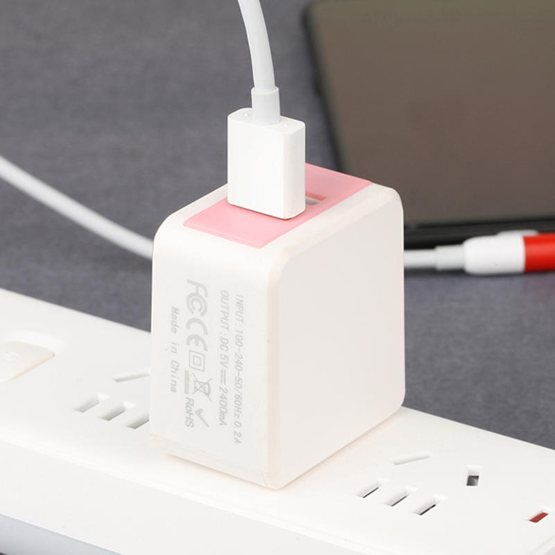Přenosná nástěnná nabíječka Dual Port Přenosná USB nabíječka s více porty usb EU / US / UK / AU OEM