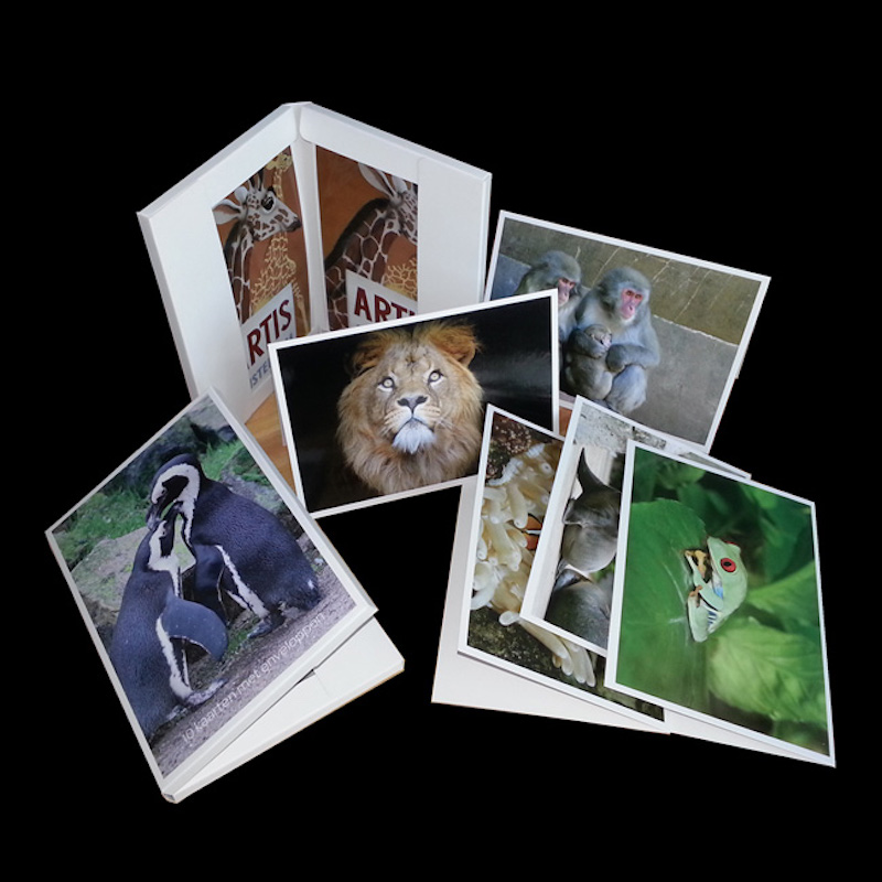 Loutka pro všechny příležitosti, papírová karta, s obálkami.Suvenýry pro cestující