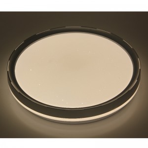 Stropní světlo CX236