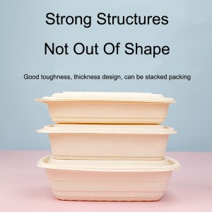 Biologicky rozložitelné balení kukuřičného škrobu z rychlého občerstvení obdélníkové balení potravinové nádoby