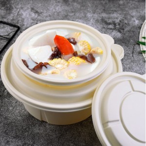 Disposable takeach food packages kontejnery biologicky rozložitelný polední box biologicky rozložitelný kontejner