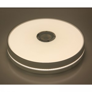 MU111 stropní světlo